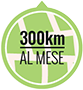 300 km
