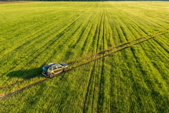 Gomel, Belarus - June 17, 2021: Aerial view of Renault Duster car suv mooving on countryside road in spring field rural landscape. Renault Duster or Dacia Duster Suv in road through summer green corn field in sunny evening. Car drives through corn maize plantation.