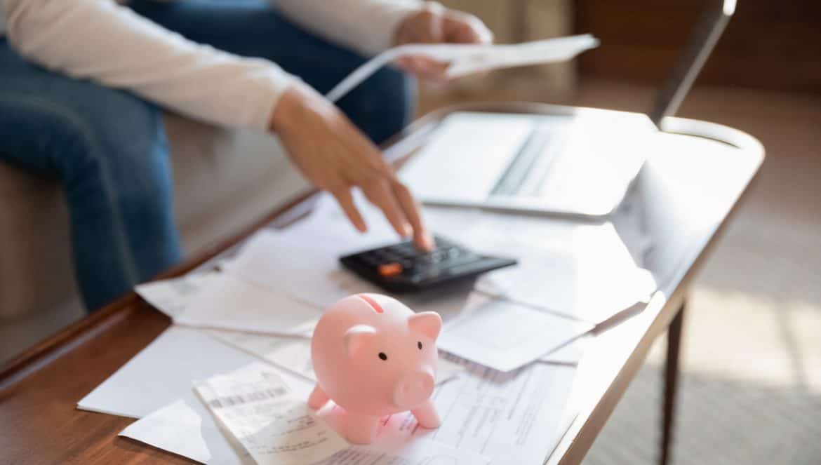 Close up of woman manage household finances feel economical provident saving money in piggy bank for future, female pay bills online, calculate home expenditures expenses, investment concept
